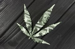 Investisseur : Considerez l'industrie du cannabis
