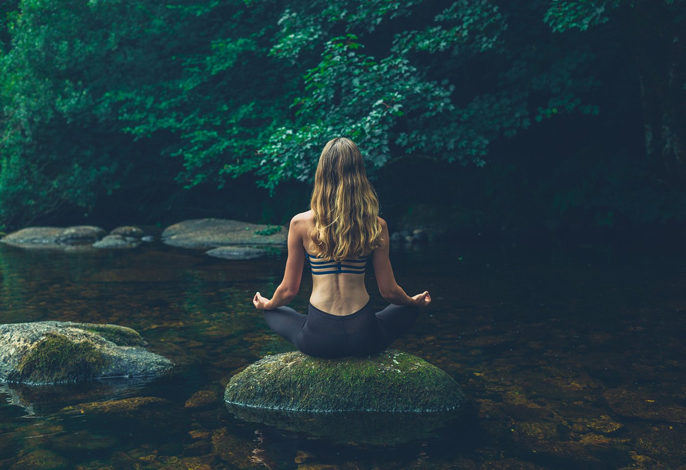 health, wellness and spas